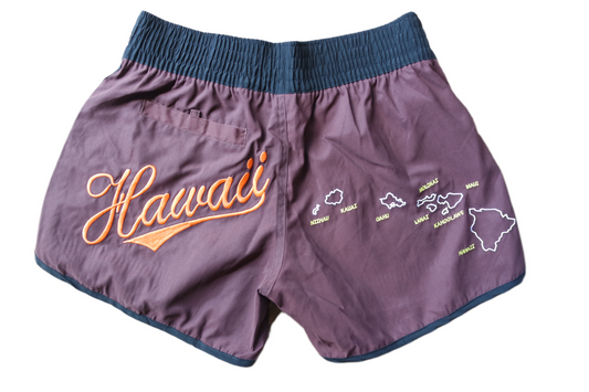 Women's Shorts/ Swim Trunks - Hawaii - Brown/Black